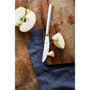  WMF Nuova Meyve/Tatlı Bıçağı 2 Parça